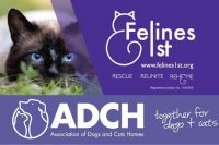 ADCH Felines 1st combined logo